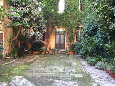 Surrounded by green trees and brown brick house
